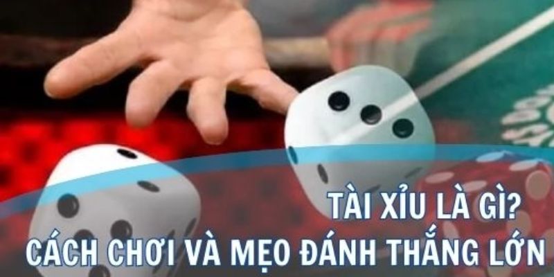 Chinh phục tài xỉu online Mksports với những ván cược kịch tính