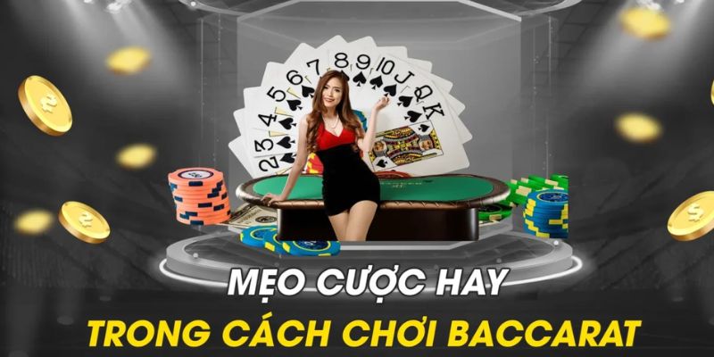 Chơi Baccarat Mksports, cơ hội thắng đậm trong từng ván bài