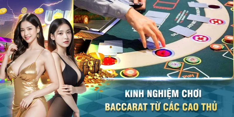 Đỉnh cao Baccarat Mksports, nơi hội tụ những tay chơi đẳng cấp