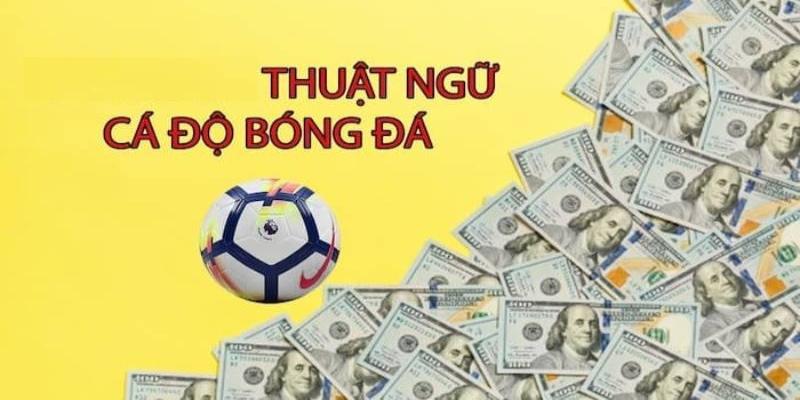 Thuật Ngữ Cá Độ Bóng Đá - Chìa Khóa Dẫn Đến Thành Công